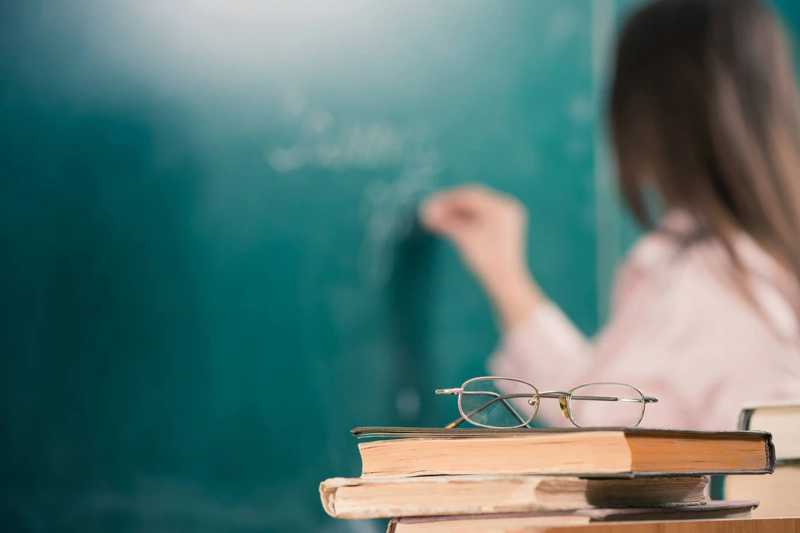 В Казахстане официально введена должность педагога-профориентатора